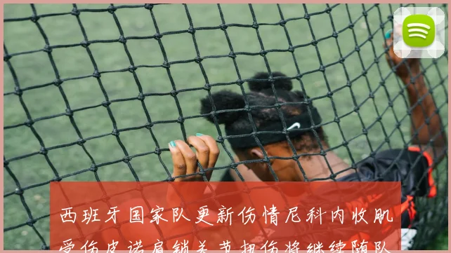 西班牙国家队更新伤情尼科内收肌受伤皮诺肩锁关节扭伤将继续随队训练